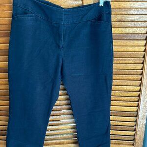 Ann Taylor slim blue pants, women's curvy 10P